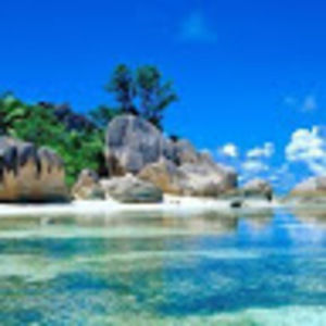 Meet your Posher, Steven